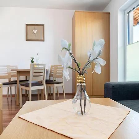 In Near Slopes דירה סאלפלדן אם שטיינרן מיר