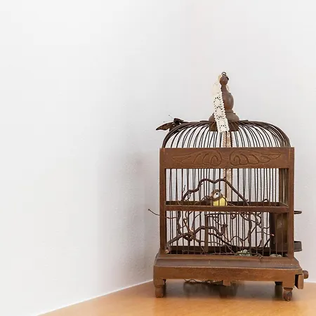 דירה In Near Slopes *